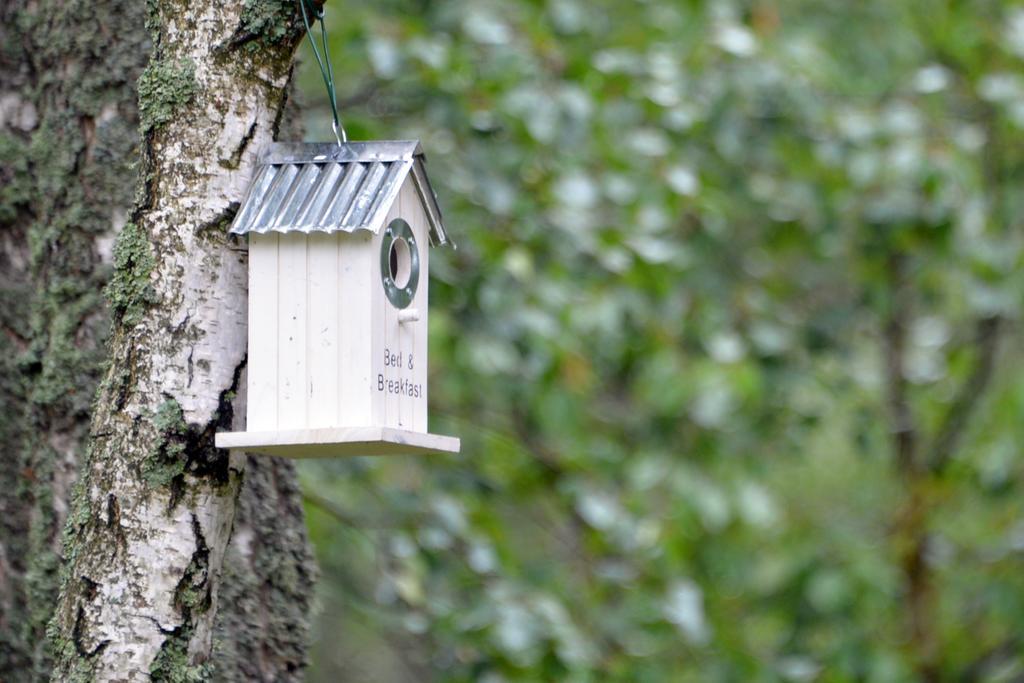 Karkse Apartamento Pervalka Exterior foto